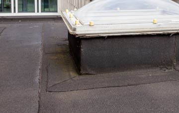 disadvantages of Loughgilly flat roofs