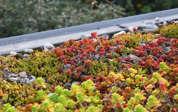 the cost of Loughgilly green roof installation