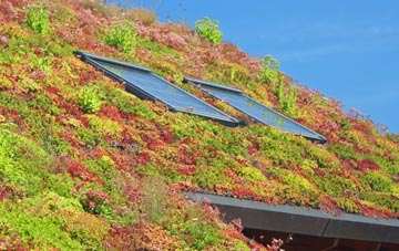 Loughgilly living roof systems